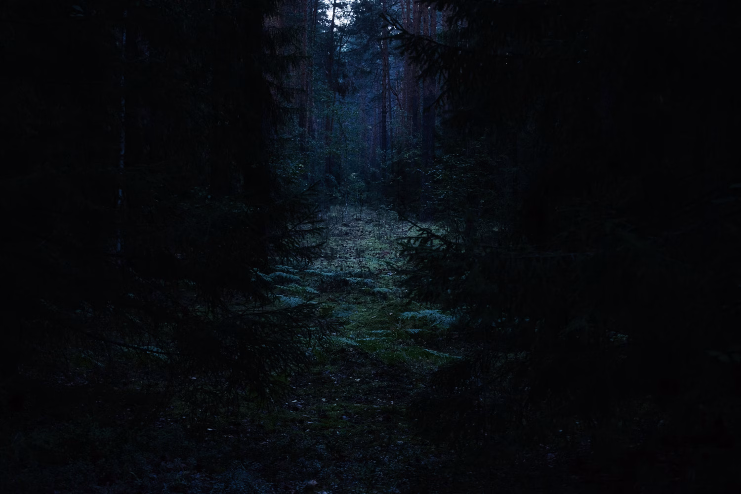 night-time navigation
